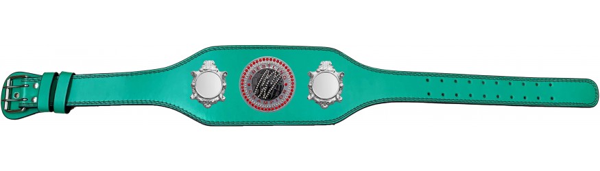 WRESTLING CHAMPIONSHIP BELT-BUD003/S/WRESTGEMS-4 COLOURS